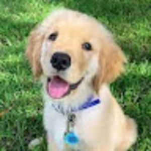 Meet your Posher, Kara